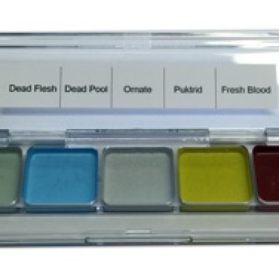 Dashbo Lady Gadaver Palette Dashbo Lady Gadaver Palette